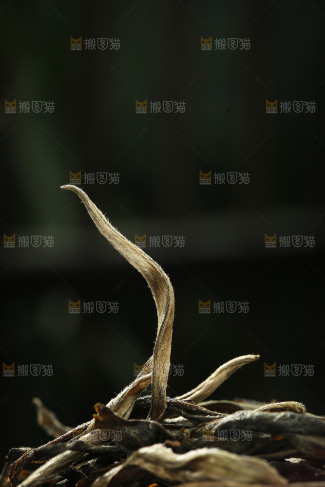 深底上的生普茶