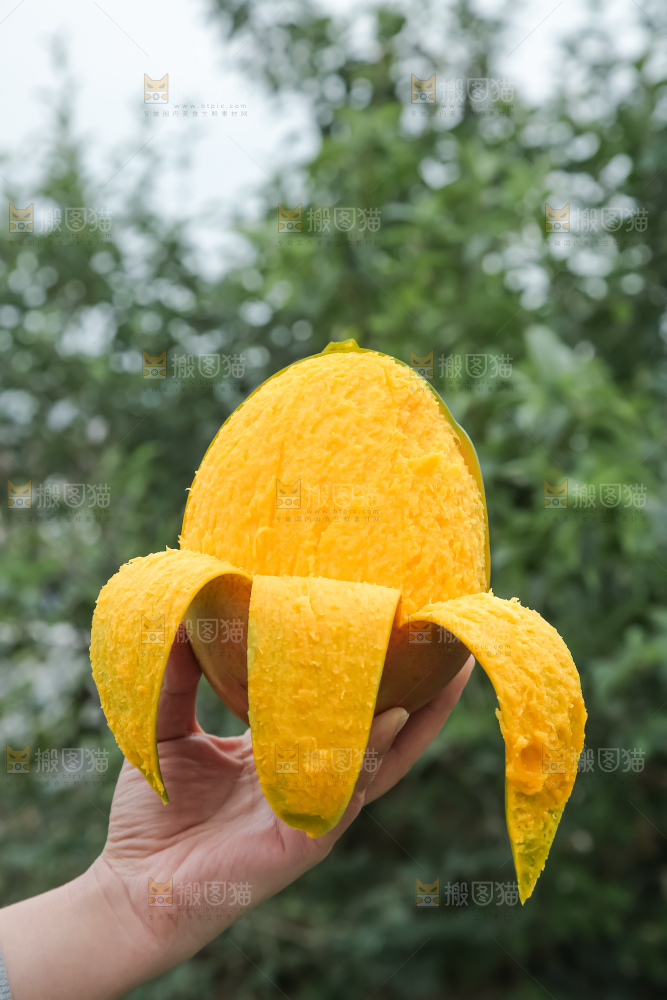 深底上的凯特芒