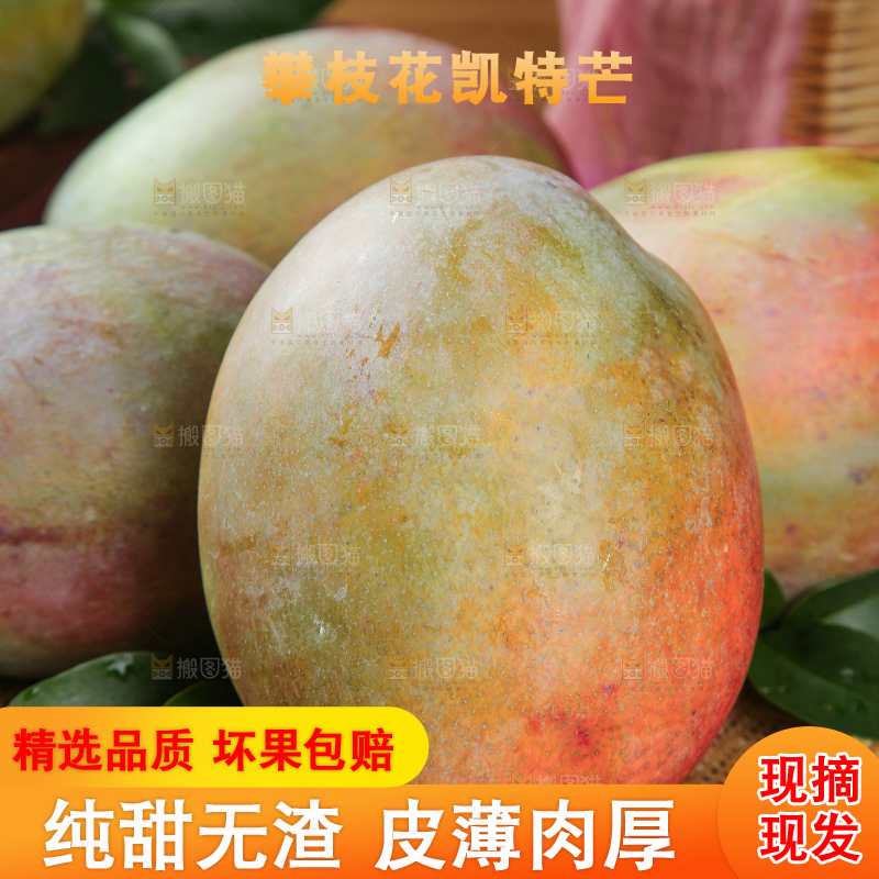 深底上的凯特芒