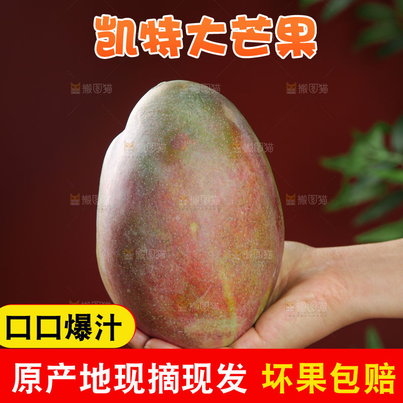 深底上的凯特芒