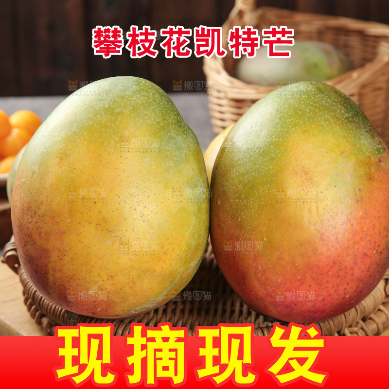 深底上的凯特芒
