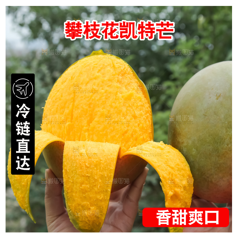 深底上的凯特芒