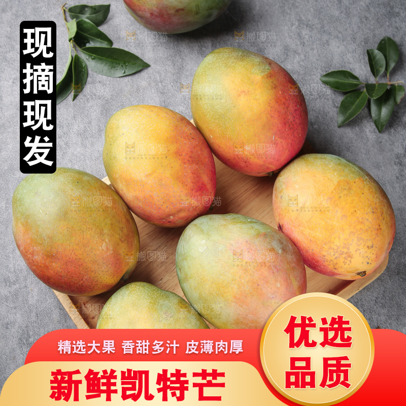 深底上的凯特芒