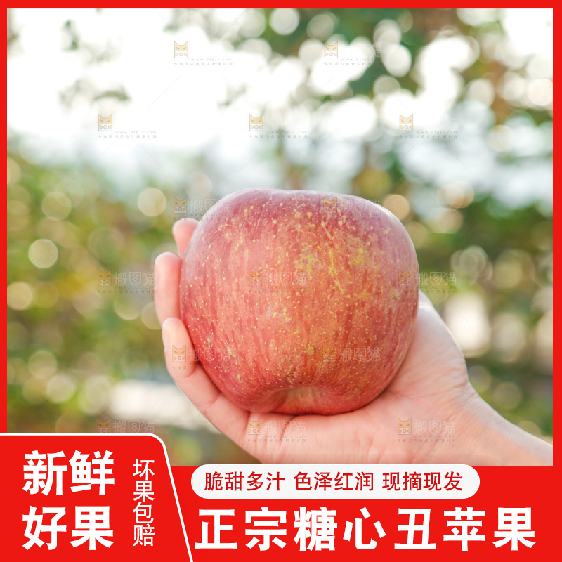 手里拿着丑苹果