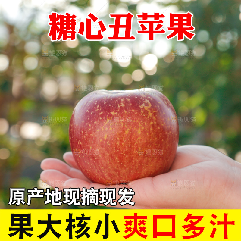 手里拿着丑苹果