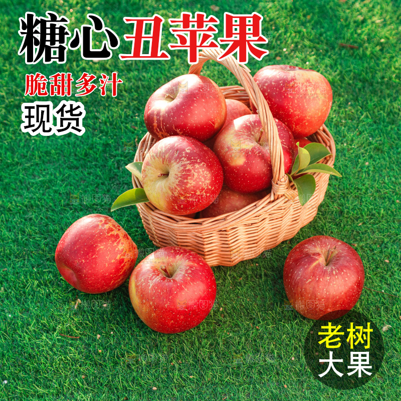 草皮上的丑苹果