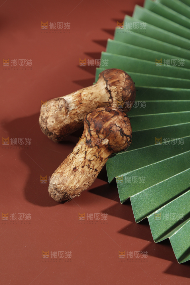 深底上的松茸菇