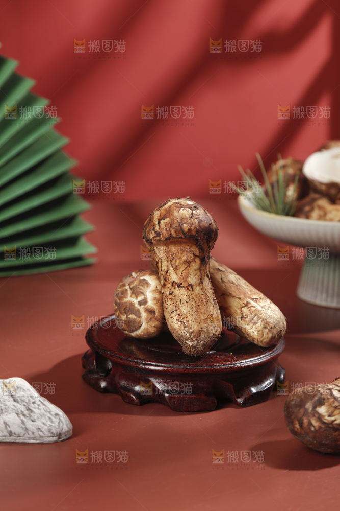 深底上的松茸菇