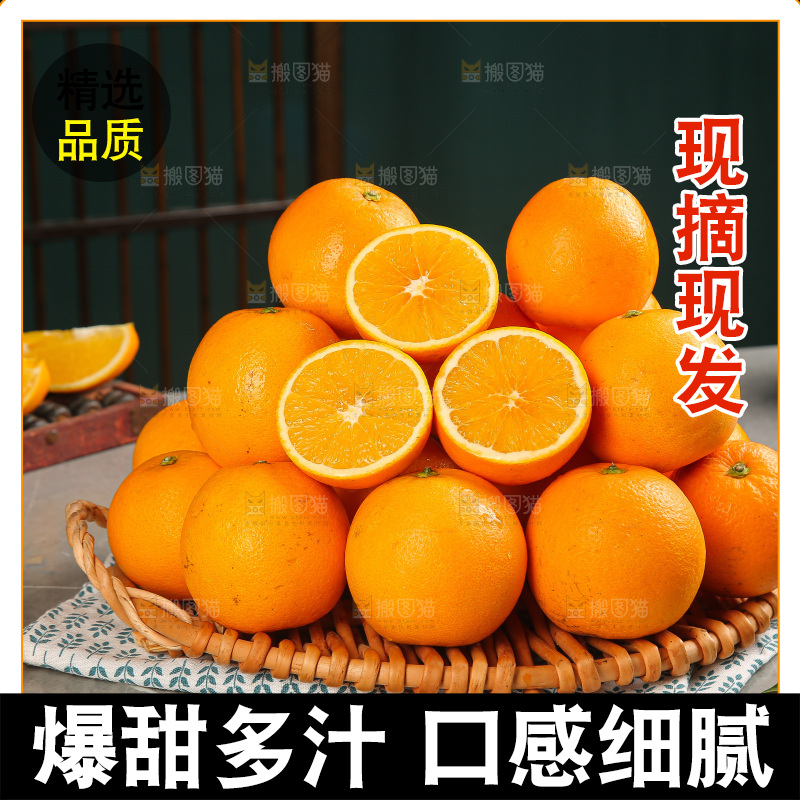 深底上的麻阳冰糖橙