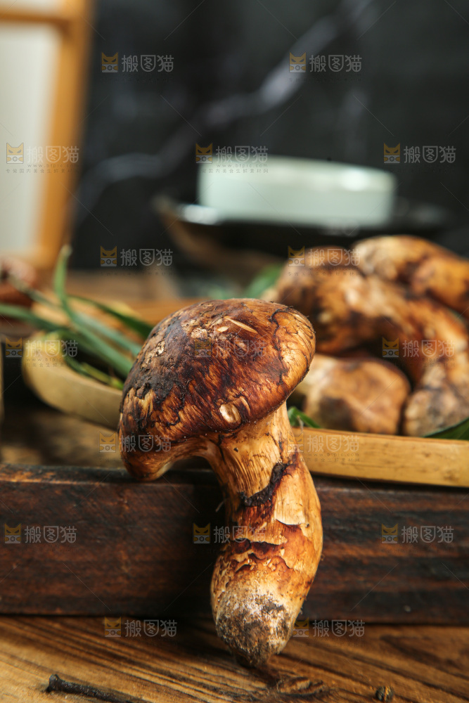深底上的松茸菇
