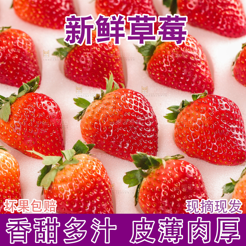 浅底上的丹东草莓