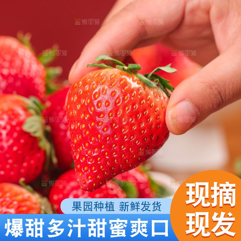 浅底上的丹东草莓