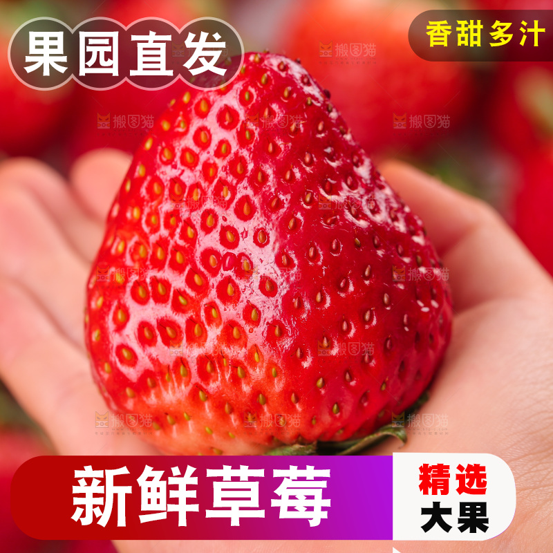 浅底上的丹东草莓