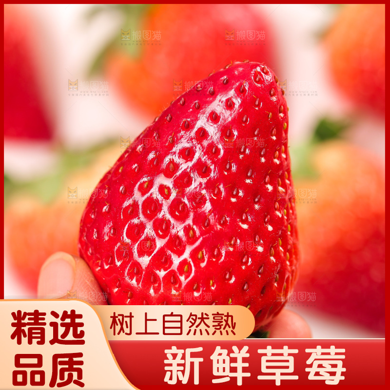 浅底上的丹东草莓