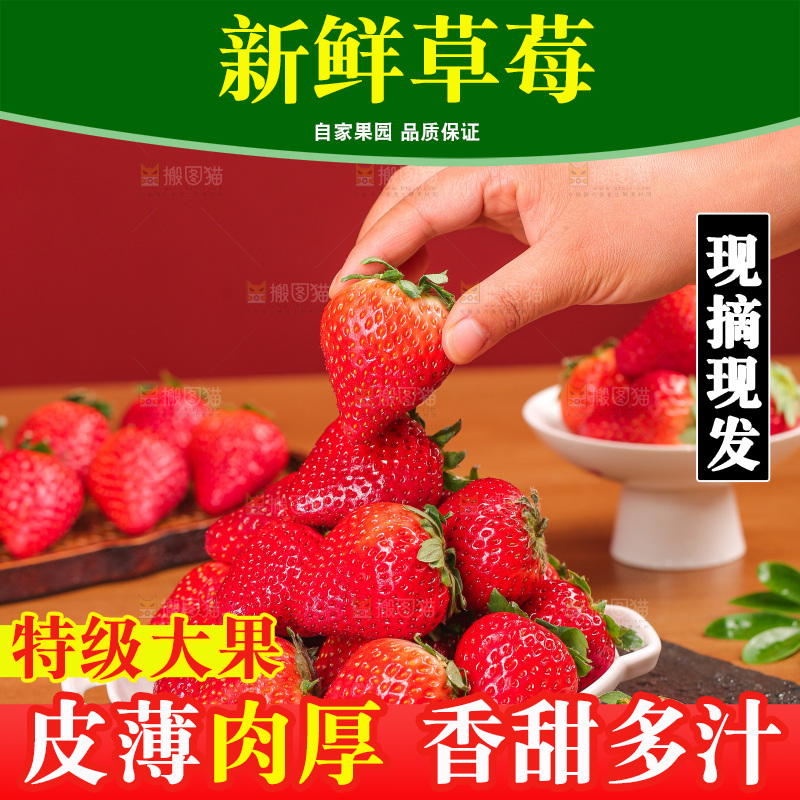 浅底上的丹东草莓
