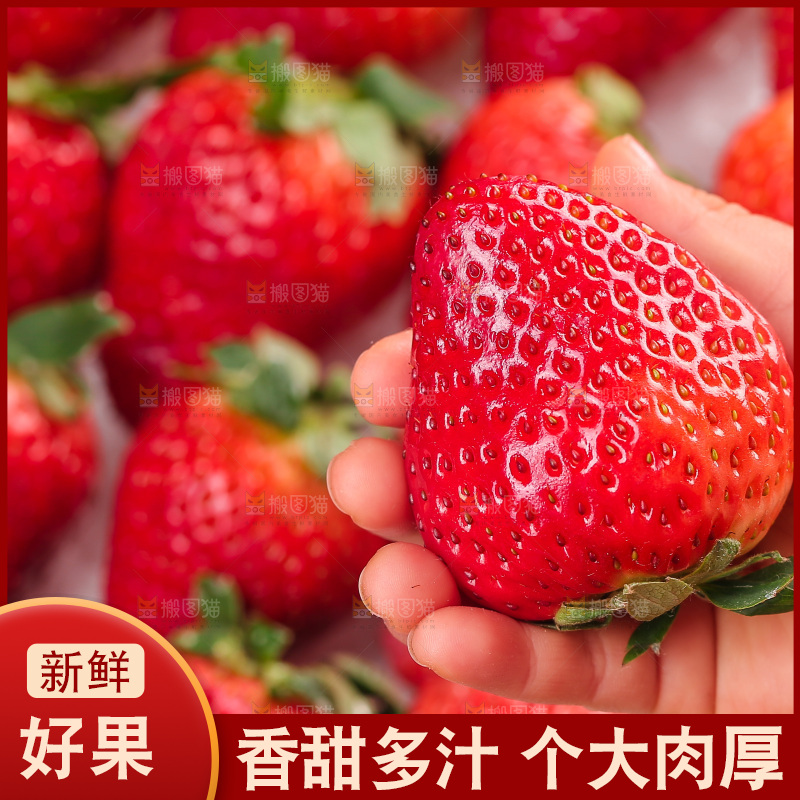 浅底上的丹东草莓