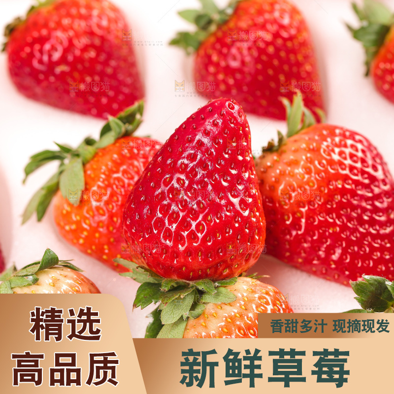 浅底上的丹东草莓