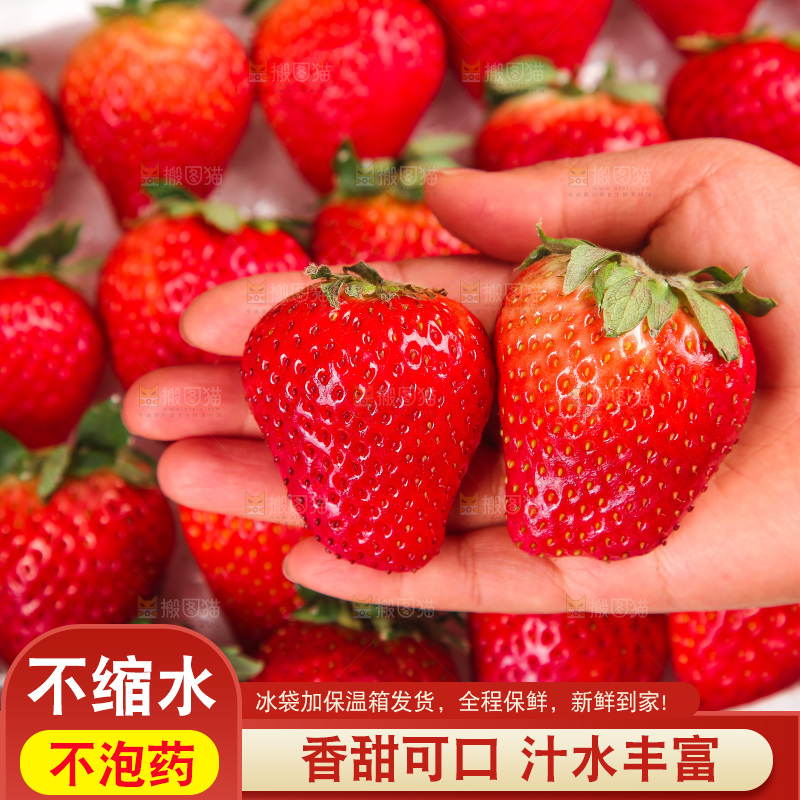 箱子里装的新鲜草莓