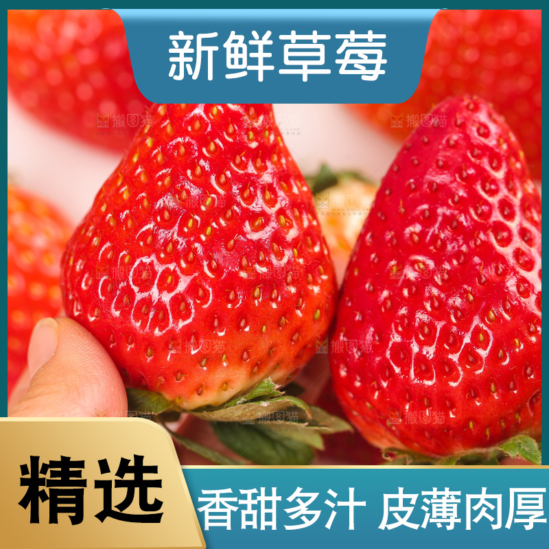 浅底上的丹东草莓