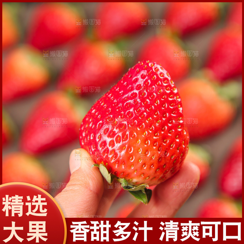 浅底上的丹东草莓
