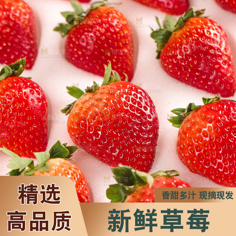 浅底上的丹东草莓