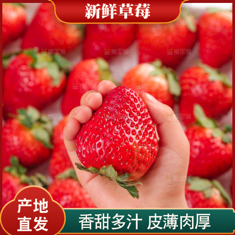 浅底上的丹东草莓