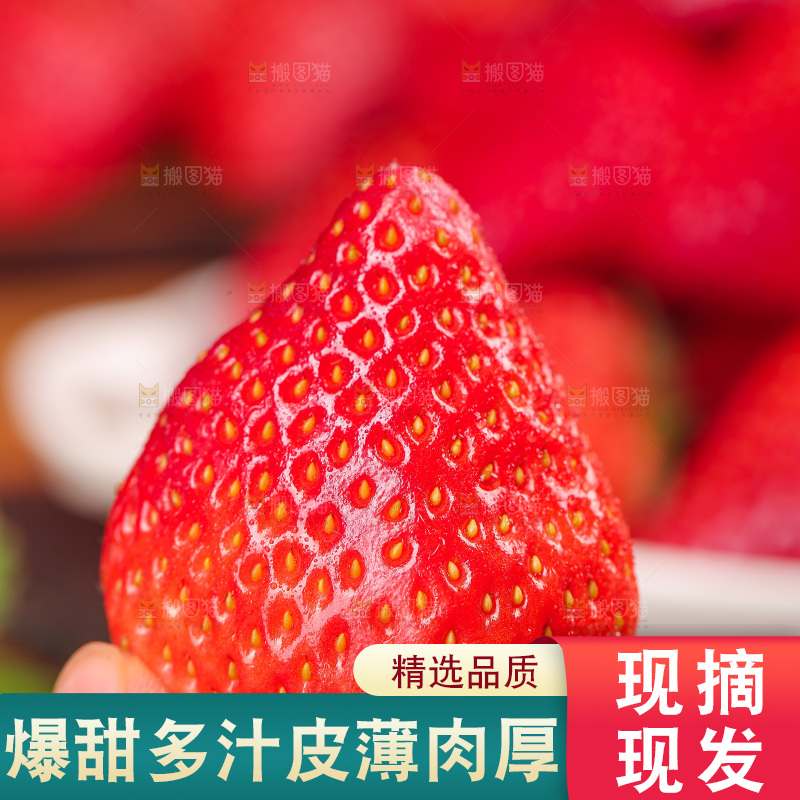 浅底上的丹东草莓