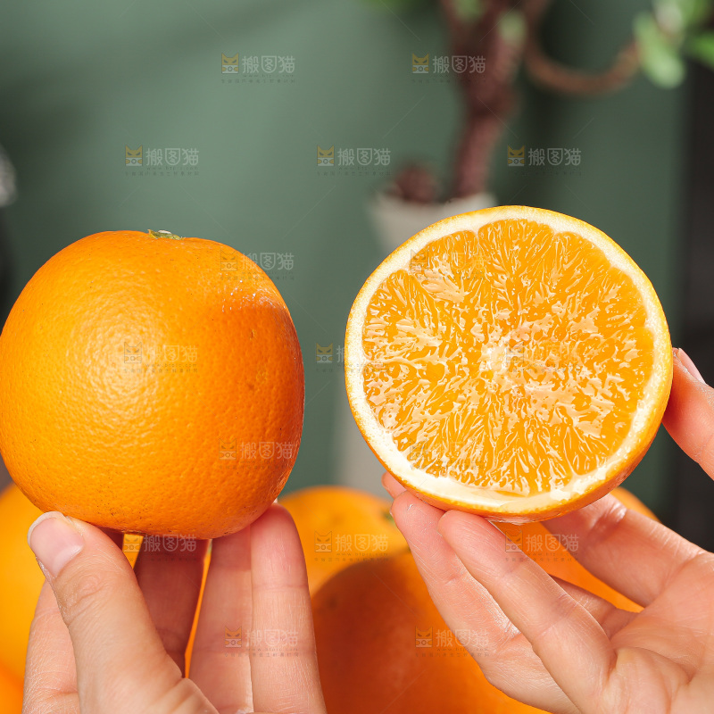 深底上的麻阳冰糖橙