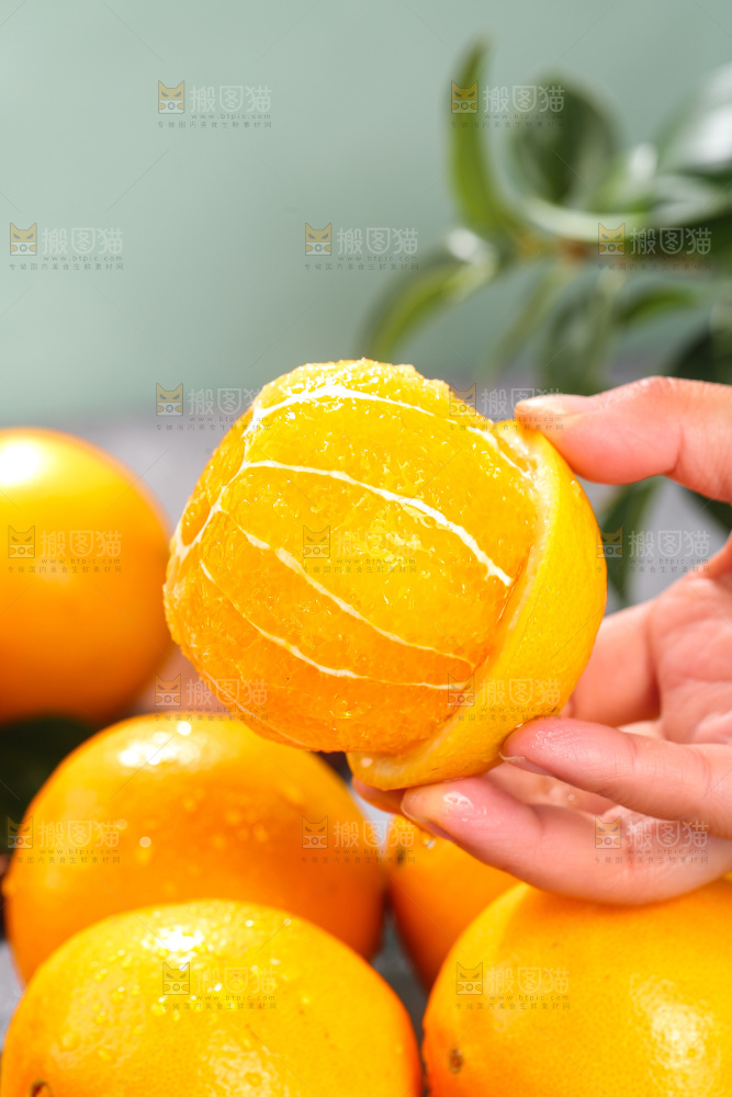 浅底上的脐橙