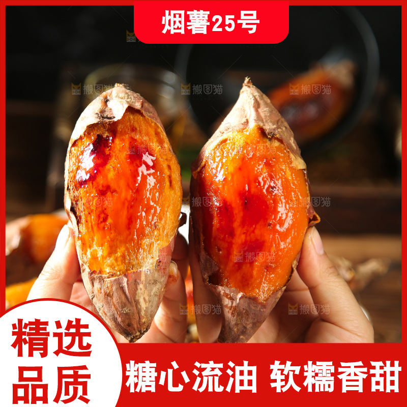 深底上的烤烟薯