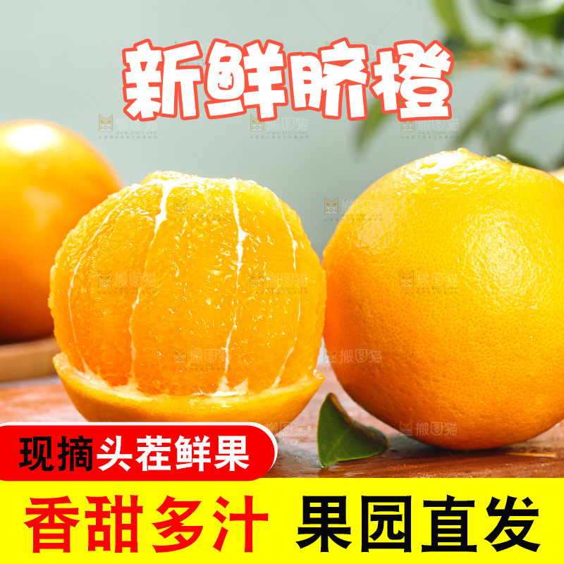 浅底上的脐橙