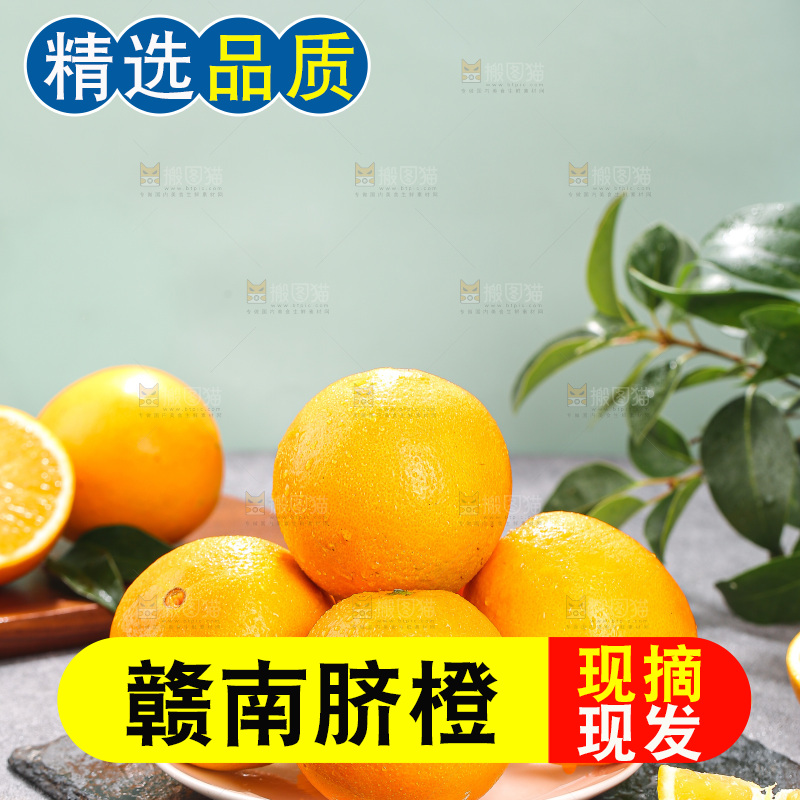 浅底上的脐橙