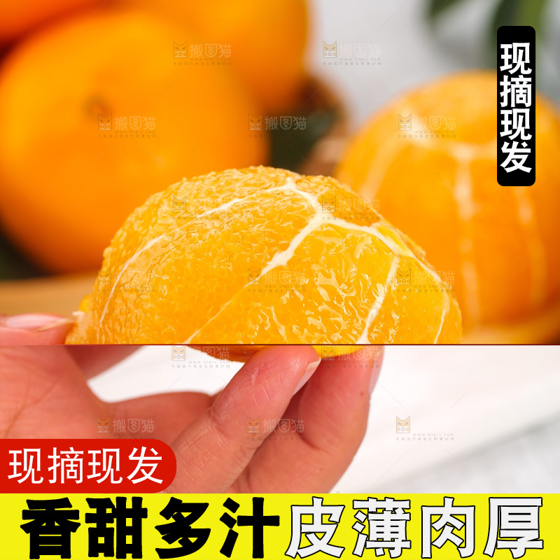 深底上的脐橙
