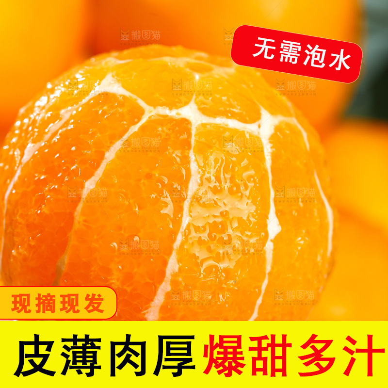 浅底上的脐橙