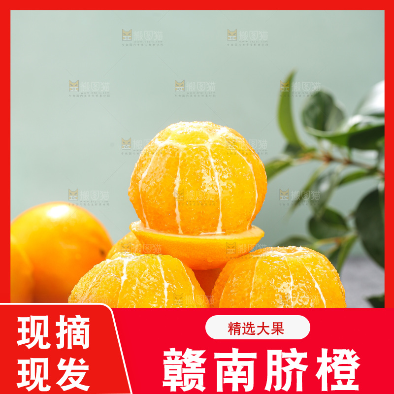 浅底上的脐橙