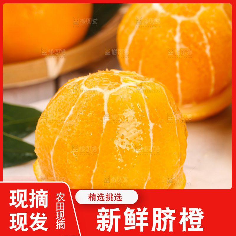 脐橙主图