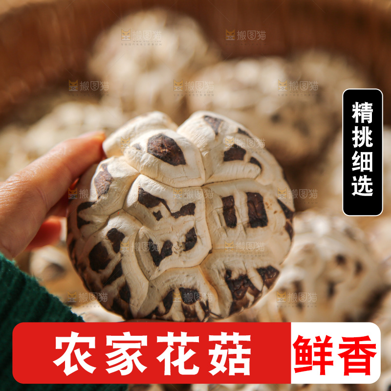 深底上的花菇