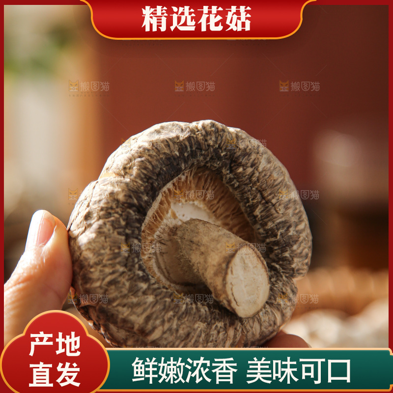 深底上的花菇
