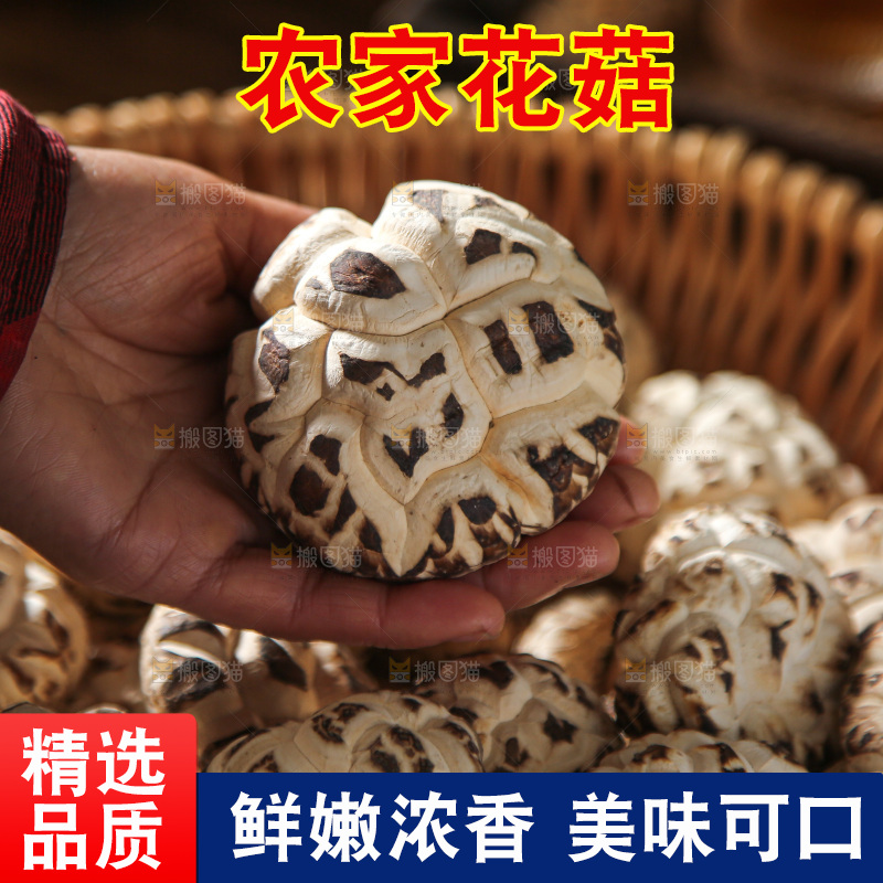 深底上的花菇
