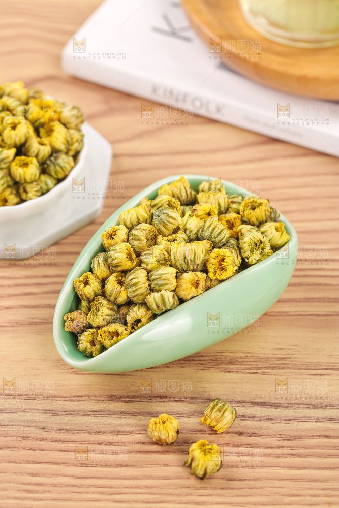 浅底上的胎菊