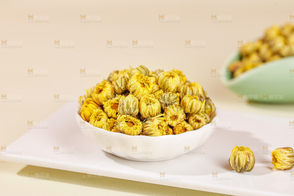 浅底上的胎菊