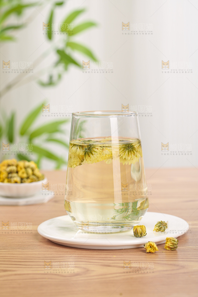 浅底上的胎菊