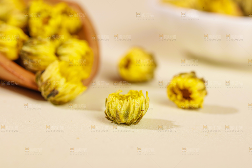 浅底上的胎菊