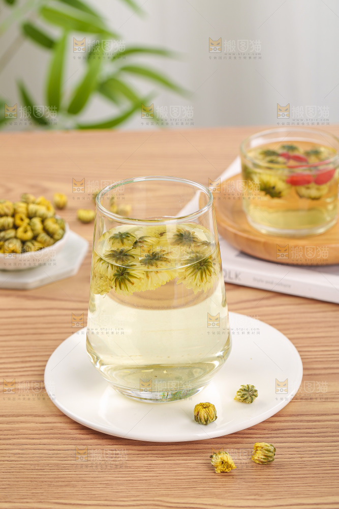 浅底上的胎菊