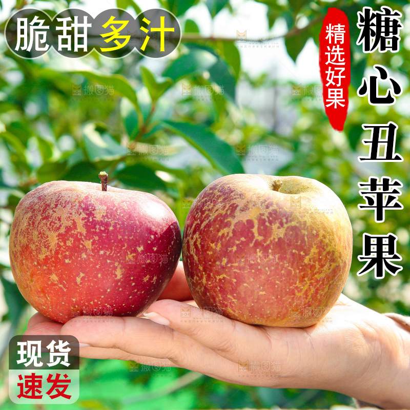 外景糖心苹果