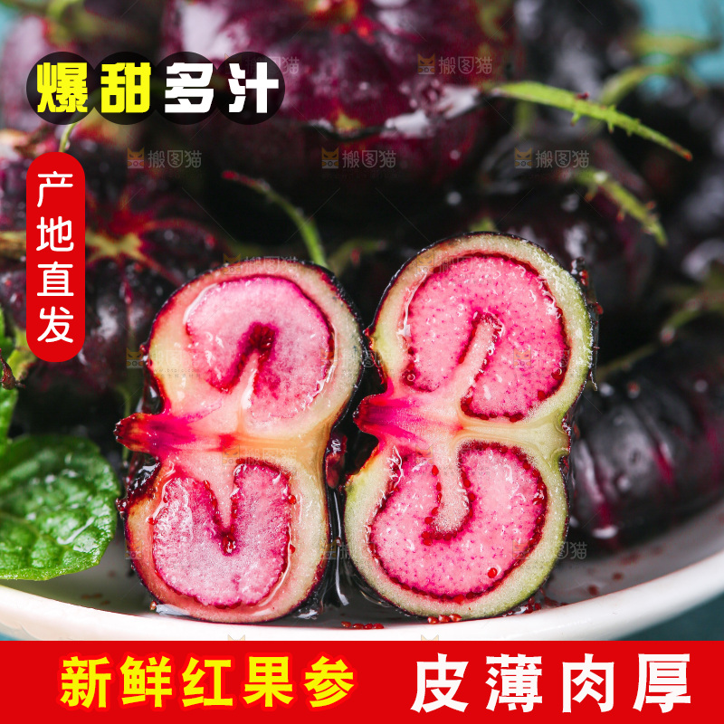 浅底上的红果参