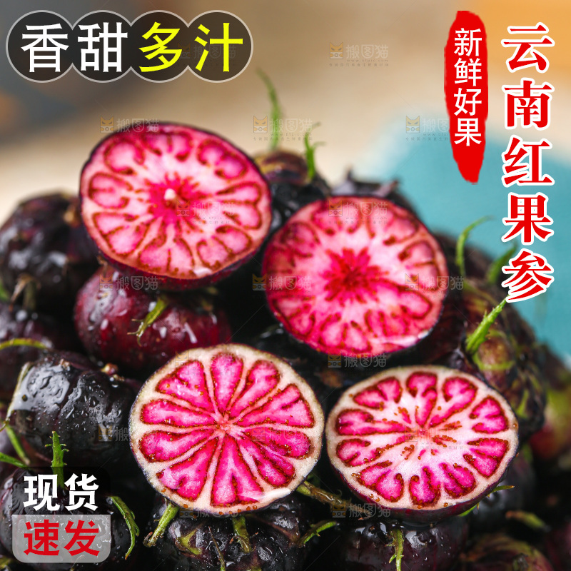 浅底上的红果参