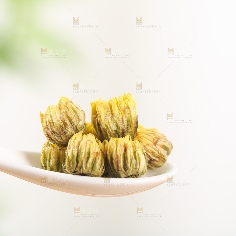 浅底上的胎菊