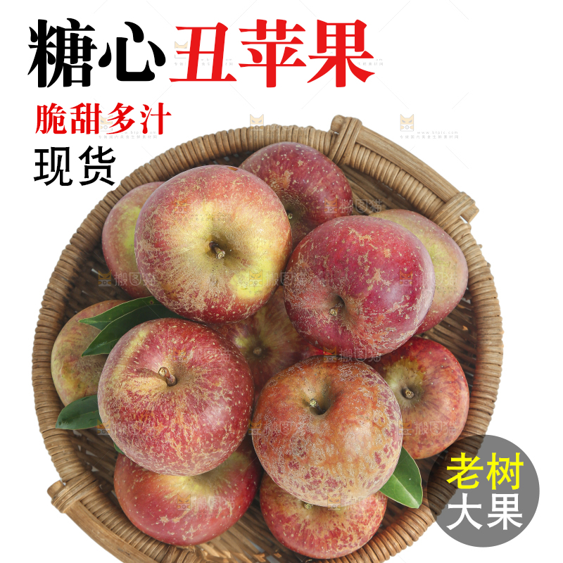 白底上的糖心苹果