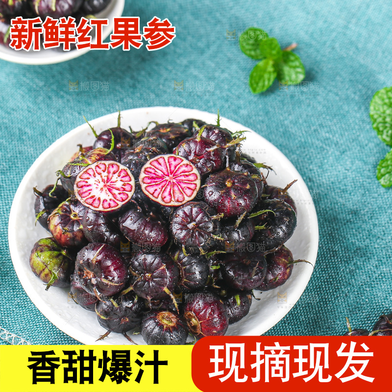 浅底上的红果参